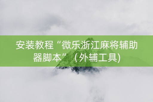 安装教程“微乐浙江麻将辅助器脚本”（外辅工具)
