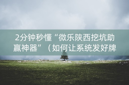 2分钟秒懂“微乐陕西挖坑助赢神器”（如何让系统发好牌)