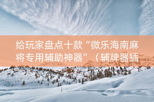 给玩家盘点十款“微乐海南麻将专用辅助神器”（辅牌器插件购买)