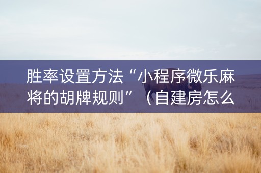 胜率设置方法“小程序微乐麻将的胡牌规则”（自建房怎么拿好牌)