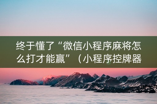 终于懂了“微信小程序麻将怎么打才能赢”（小程序控牌器)