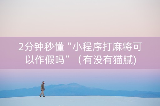 2分钟秒懂“小程序打麻将可以作假吗”（有没有猫腻)