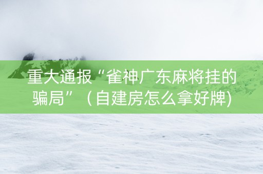重大通报“雀神广东麻将挂的骗局”（自建房怎么拿好牌)