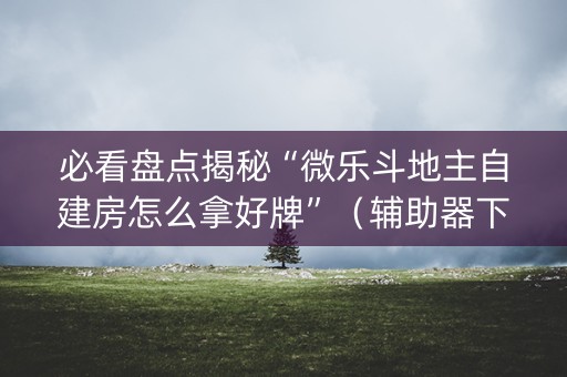 必看盘点揭秘“微乐斗地主自建房怎么拿好牌”（辅助器下载)