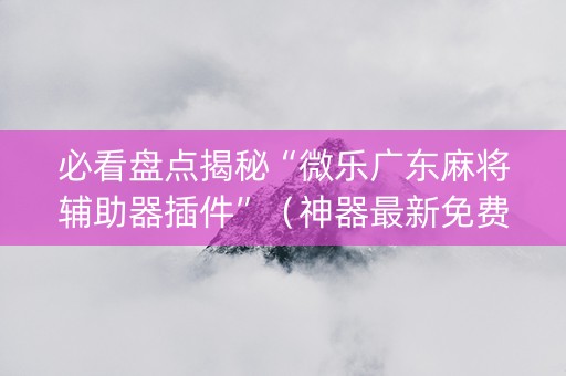必看盘点揭秘“微乐广东麻将辅助器插件”（神器最新免费)