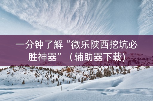 一分钟了解“微乐陕西挖坑必胜神器”（辅助器下载)