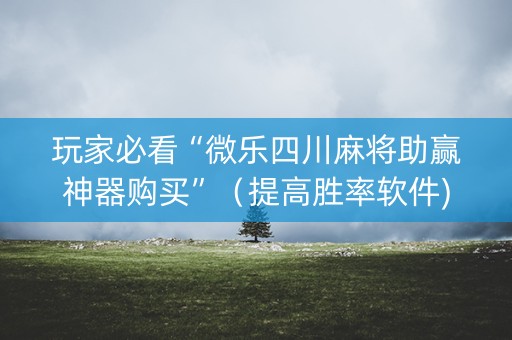 玩家必看“微乐四川麻将助赢神器购买”（提高胜率软件)