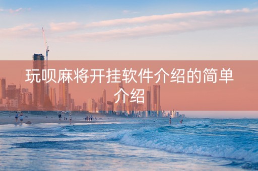 玩呗麻将开挂软件介绍的简单介绍