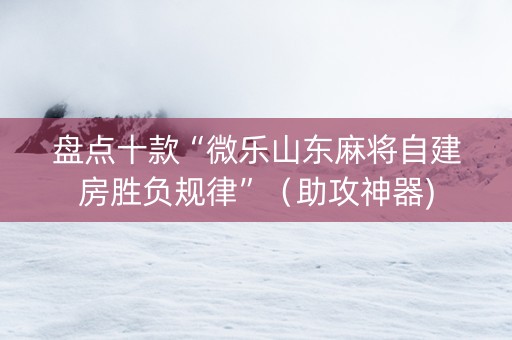 盘点十款“微乐山东麻将自建房胜负规律”（助攻神器)