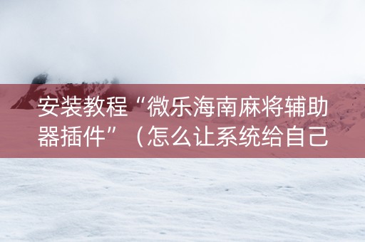 安装教程“微乐海南麻将辅助器插件”（怎么让系统给自己好牌)