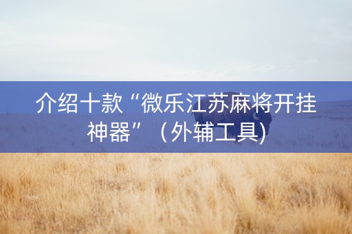 介绍十款“微乐江苏麻将开挂神器”（外辅工具)