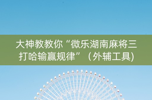 大神教教你“微乐湖南麻将三打哈输赢规律”（外辅工具)