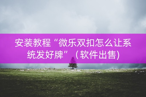 安装教程“微乐双扣怎么让系统发好牌”（软件出售)