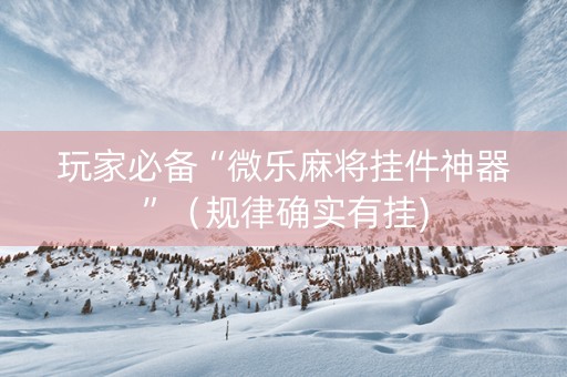玩家必备“微乐麻将挂件神器”（规律确实有挂)