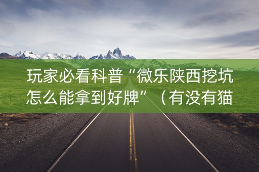 玩家必看科普“微乐陕西挖坑怎么能拿到好牌”（有没有猫腻)