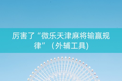 厉害了“微乐天津麻将输赢规律”（外辅工具)