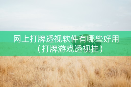 网上打牌透视软件有哪些好用（打牌游戏透视挂）