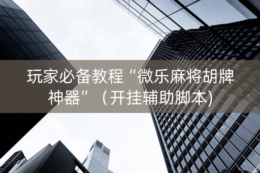 玩家必备教程“微乐麻将胡牌神器”（开挂辅助脚本)