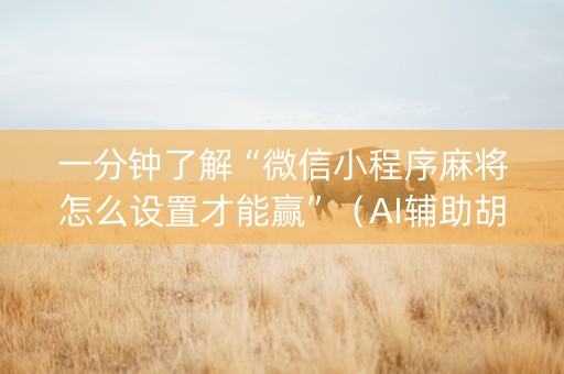 一分钟了解“微信小程序麻将怎么设置才能赢”（AI辅助胡牌规则)