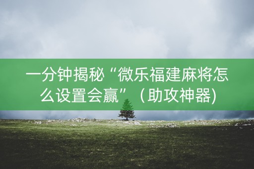 一分钟揭秘“微乐福建麻将怎么设置会赢”（助攻神器)