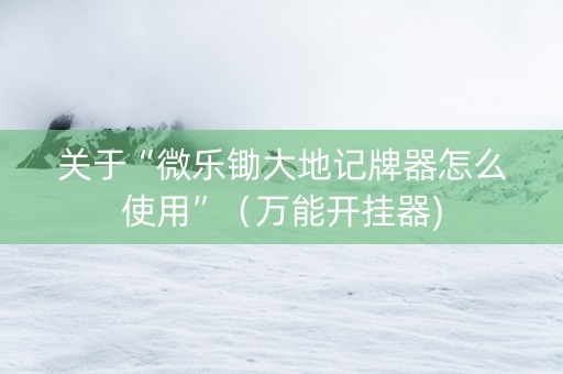 关于“微乐锄大地记牌器怎么使用”（万能开挂器)