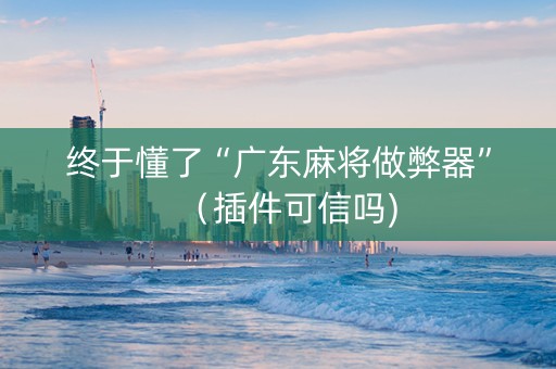 终于懂了“广东麻将做弊器”（插件可信吗)