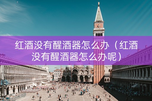 红酒没有醒酒器怎么办（红酒没有醒酒器怎么办呢）