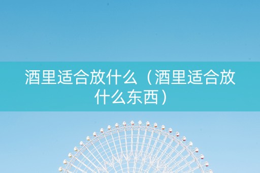 酒里适合放什么（酒里适合放什么东西）
