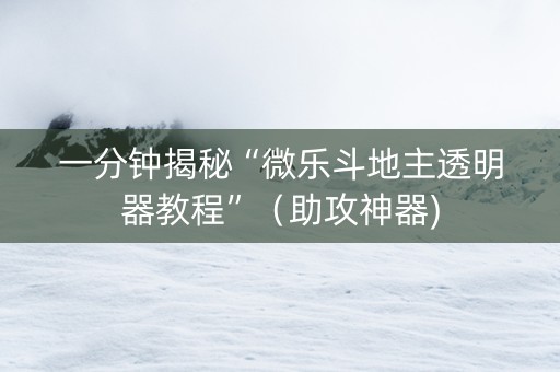 一分钟揭秘“微乐斗地主透明器教程”（助攻神器)
