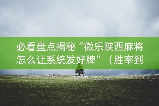 必看盘点揭秘“微乐陕西麻将怎么让系统发好牌”（胜率到哪调)