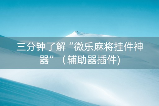 三分钟了解“微乐麻将挂件神器”（辅助器插件)