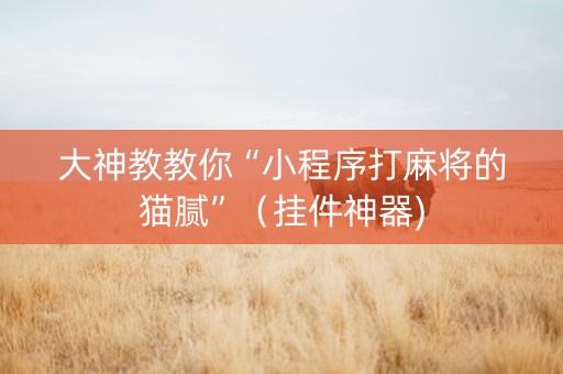 大神教教你“小程序打麻将的猫腻”（挂件神器)
