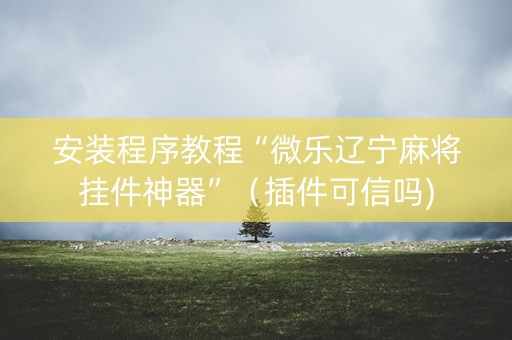 安装程序教程“微乐辽宁麻将挂件神器”（插件可信吗)