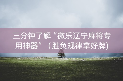 三分钟了解“微乐辽宁麻将专用神器”（胜负规律拿好牌)