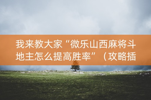 我来教大家“微乐山西麻将斗地主怎么提高胜率”（攻略插件)