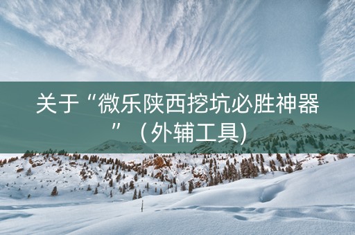 关于“微乐陕西挖坑必胜神器”（外辅工具)