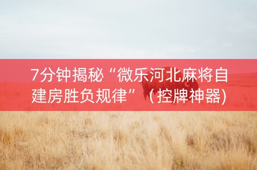 7分钟揭秘“微乐河北麻将自建房胜负规律”（控牌神器)