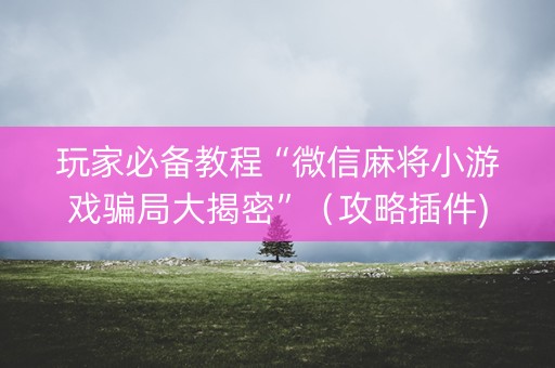 玩家必备教程“微信麻将小游戏骗局大揭密”（攻略插件)
