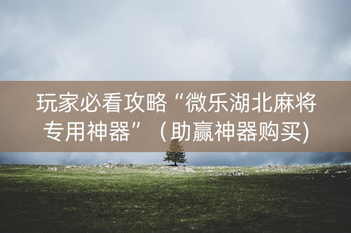 玩家必看攻略“微乐湖北麻将专用神器”（助赢神器购买)
