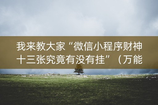 我来教大家“微信小程序财神十三张究竟有没有挂”（万能开挂器)