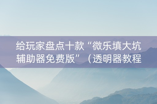 给玩家盘点十款“微乐填大坑辅助器免费版”（透明器教程)