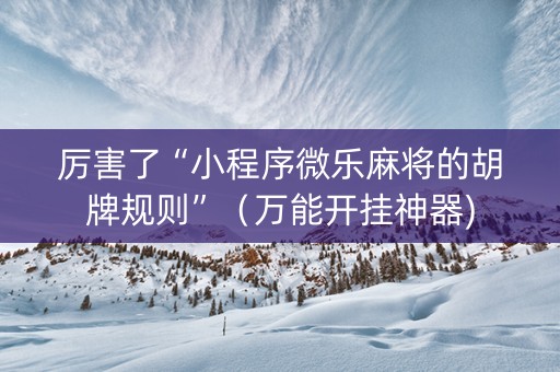 厉害了“小程序微乐麻将的胡牌规则”（万能开挂神器)