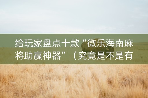 给玩家盘点十款“微乐海南麻将助赢神器”（究竟是不是有挂)