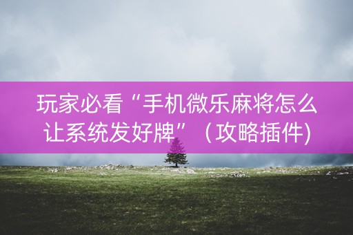 玩家必看“手机微乐麻将怎么让系统发好牌”（攻略插件)