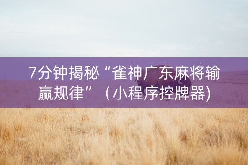 7分钟揭秘“雀神广东麻将输赢规律”（小程序控牌器)