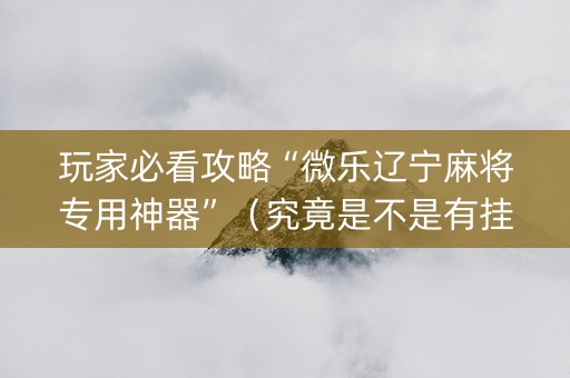 玩家必看攻略“微乐辽宁麻将专用神器”（究竟是不是有挂)