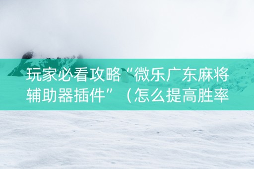 玩家必看攻略“微乐广东麻将辅助器插件”（怎么提高胜率)