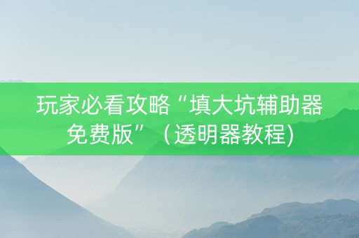 玩家必看攻略“填大坑辅助器免费版”（透明器教程)