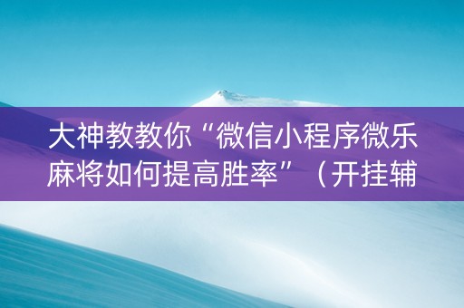 大神教教你“微信小程序微乐麻将如何提高胜率”（开挂辅助插件)