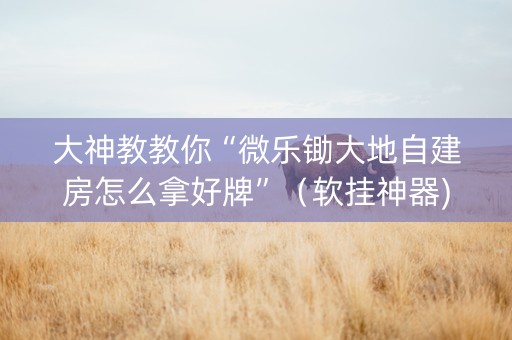 大神教教你“微乐锄大地自建房怎么拿好牌”（软挂神器)